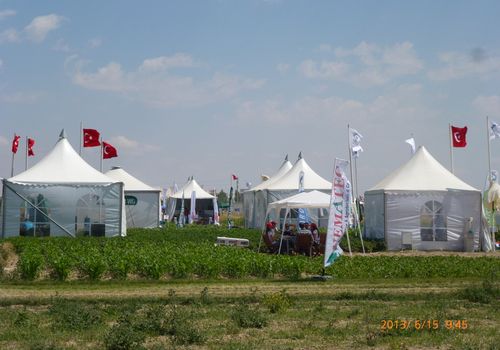 2013 / INTERNATIONAL FIELD DAYS / 