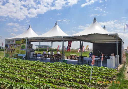 2013 / INTERNATIONAL FIELD DAYS / 