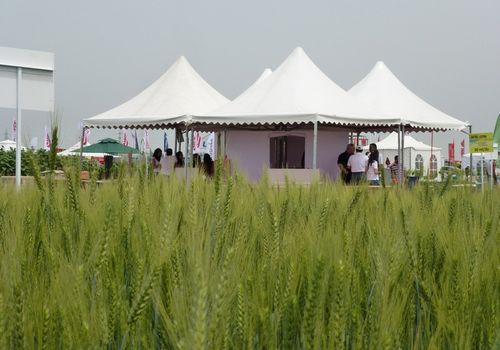 2011 / FIELD DAYS TENTS IN ADANA / 