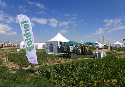2013 / INTERNATIONAL FIELD DAYS / 