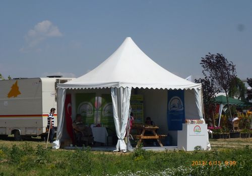 2013 / INTERNATIONAL FIELD DAYS / 