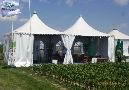 2013 / INTERNATIONAL FIELD DAYS / 