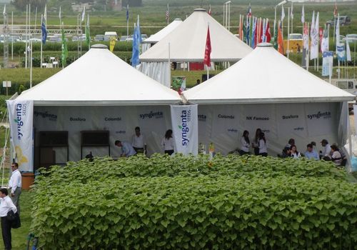 2011 / FIELD DAYS TENTS IN ADANA / 