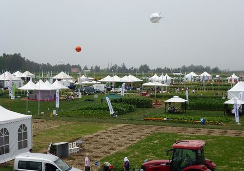 2011 / FIELD DAYS TENTS IN ADANA / 