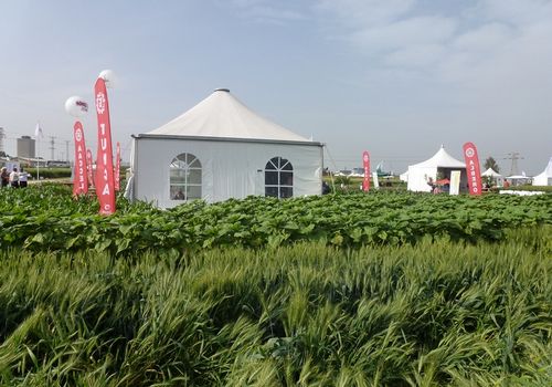 2011 / FIELD DAYS TENTS IN ADANA / 