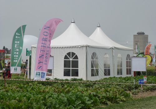 2011 / FIELD DAYS TENTS IN ADANA / 
