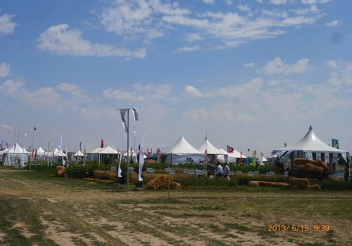 2013 / INTERNATIONAL FIELD DAYS / 