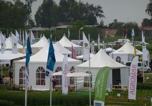 2011 / FIELD DAYS TENTS IN ADANA / 